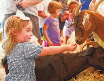  ?? STAFF PHOTO BY C. B. SCHMELTER ?? Agricultur­e and livestock displays are popular exhibits at every Hamilton County Fair. Sadie Ballard feeds a goat in the petting zoo at the 2017 Hamilton County Fair.