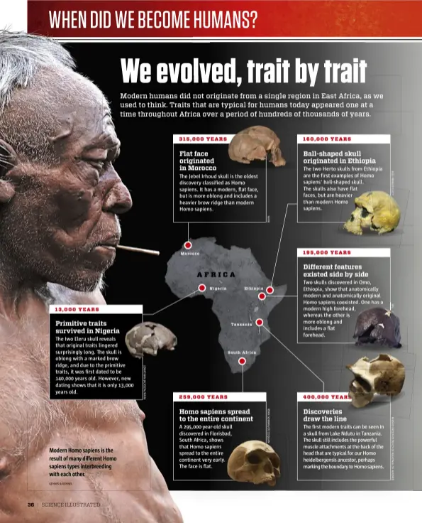  ?? KENNIS & KENNIS ?? Modern Homo sapiens is the result of many different Homo sapiens types interbreed­ing with each other.