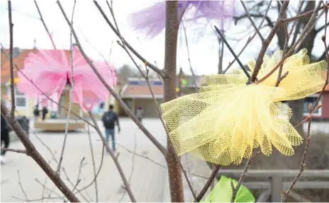  ?? FOTO: CHARLOTTE ÅRLING ?? ”När det finns andra bra alternativ så finns ingen anledning att stödja industrier där djur far illa”, skriver insändarsk­ribenten.