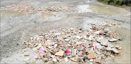  ?? ?? Los agentes de medio ambiente y los celadores del Parc de Llevant han detectado vertidos de residuos de obras.