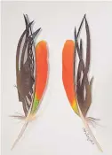  ??  ?? FAR LEFT: “What’s Up Duck” by Chris Maynard, Amazon parrot feathers, 12x15 inches.
LEFT: “Seldom Seen Study #1, Bittern” by Chris Maynard, Amazon parrot feathers, 7x5 inches