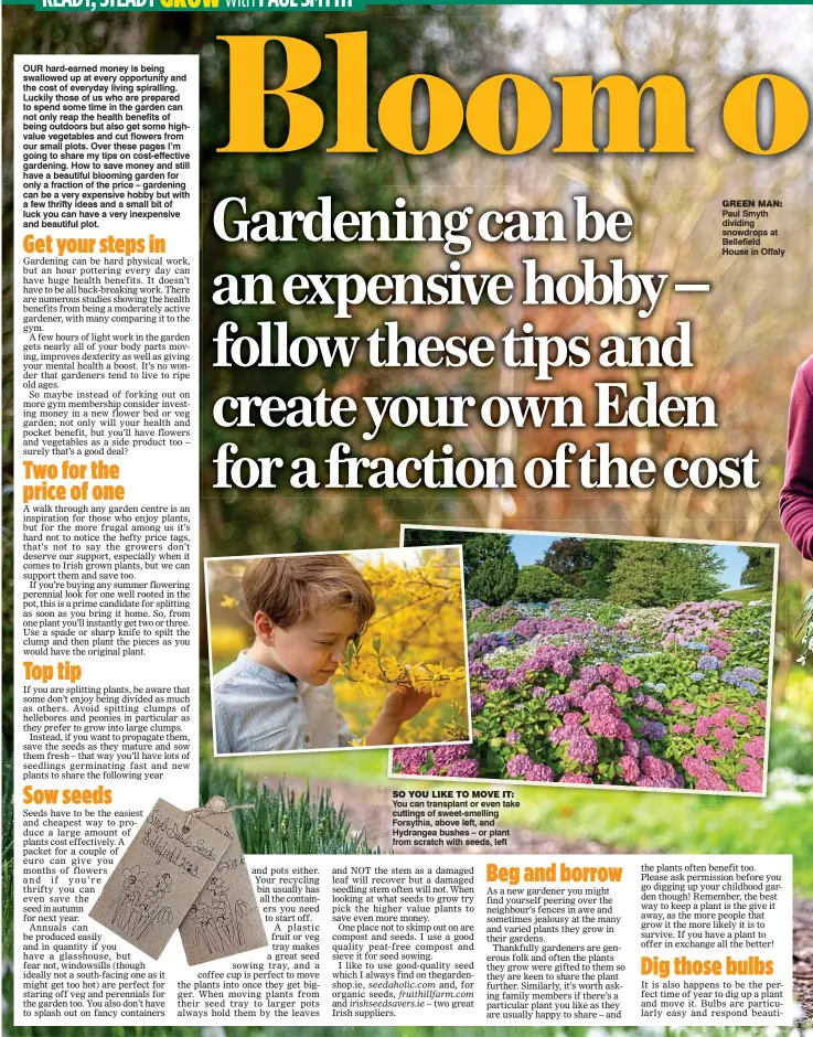  ?? ?? SO YOU LIKE TO MOVE IT: You can transplant or even take cuttings of sweet-smelling Forsythia, above left, and Hydrangea bushes – or plant from scratch with seeds, left grEEn Man: Paul Smyth dividing snowdrops at Bellefield House in Offaly
