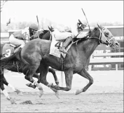  ?? EQUI-PHOTOS ?? Jump for Alex’s breeder, Edward H. Stone, died at age 100 on Jan. 29, 10 days after the colt won this allowance race.