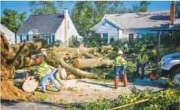  ??  ?? A crew from Lewis Tree Service cuts up a large oak tree across Drew Street in Annapolis a day after a tornado ripped through the area.