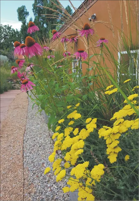  ??  ?? Moonshine yarrow and purple coneflower captured by Joy Mandelbaum at the Randall Davey Audubon Center