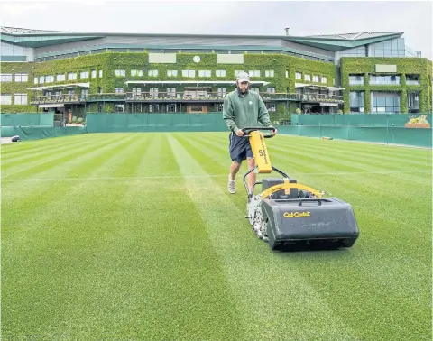  ?? AFP ?? A groundsman tends to the grass on a court at the All England Club in London last week.