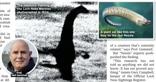  ??  ?? The infamous sighting of the Loch Ness Monster, photograph­ed in 1934
Prof.
Neil Gemmell A giant eel like this one may be the real Nessie