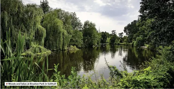  ??  ?? Woods and lakes at Brueton Park in Solihull