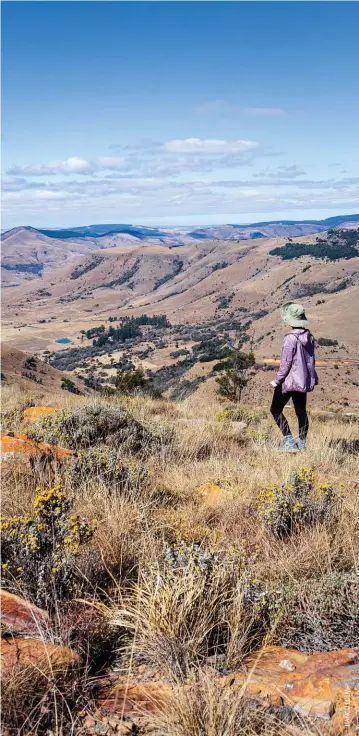  ?? W U O L U C N A H ?? Mia Louw stops for a break near Wimpie’s View, which looks over the Skurweberg Pass (R541) as it winds down towards Vygeboom Dam.