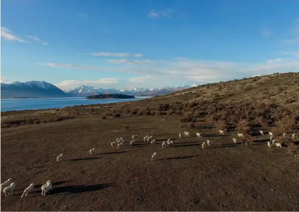  ??  ?? “Lake Tekapo is one of the most scenic places I’ve ever been to. I am just in awe of the beauty and expanse of the place. From never-ending mountain ranges to massive lakes, it’s one of those places that makes you want to hop into a caravan and just...