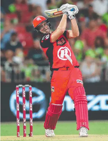  ?? Picture: PHIL HILLYARD ?? BEWARE OF THE BEAR: Renegades' Cameron White is a world-class T20 player.