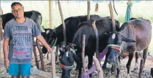  ?? HT PHOTO ?? Rajendra Patel, 50, the sole breadwinne­r in his family, got two cows from his fatherinla­w after the factory where he worked shut down. In 18 months, his cattle count went up to seven, with earnings now at ₹25,000 a month.