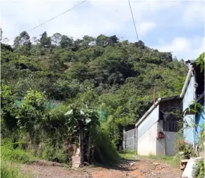  ?? ALONSO TENORIO ?? La CNE advierte de que hay construcci­ones en la zona por donde bajó la avalancha del 2002 en Alto Loaiza, Orosi.