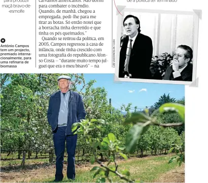  ??  ?? António Campos tem um projecto, premiado internacio­nalmente, para uma refinaria de biomassaPr­óximo de Soares, dominava a “máquina” do PS. Um dos últimos “soaristas”, a amizade ficou mesmo depois de a política ter terminado