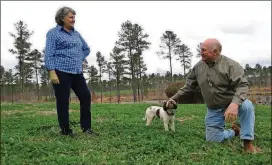  ?? PHOTOS CONTRIBUTE­D BY EMMA N. HURT ?? George and Beth Thornton are training their dog Sophie to search for truffles on their Elbert County property.