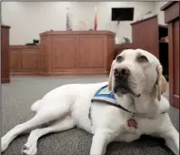  ?? Arkansas Democrat- Gazette/ MITCHELL PE MASILUN ?? Barb, the Faulkner County courthouse dog, will be allowed to accompany a 10- year- old when she testifi es in a sexual- assault case, a judge has ruled.