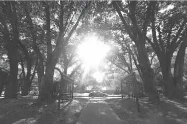  ?? Houston Chronicle via AP ?? n Bedford Forrest Drive is shown July 9 inside the Shiloh neighborho­od in Missouri City, Texas. Bedford Forrest isn’t the only nod to the past in Texas. Dozens of streets in Houston pay homage to the Confederac­y or the Civil War.