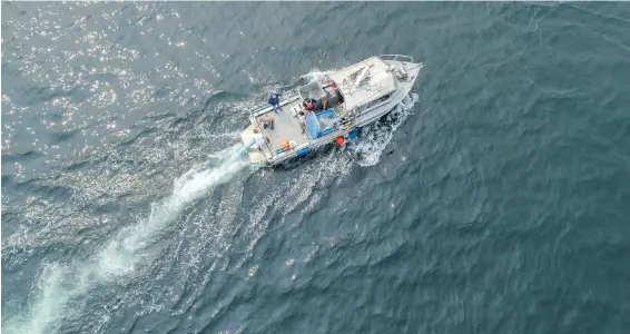  ??  ?? The Lummi Nation’s law-enforcemen­t vessel participat­es in J50 feeding trials. Live fish are released through a tube into the water off San Juan Island, Washington.