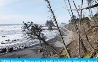  ??  ?? TAHOLAH, Washington: Rising sea levels have flooded the Quinault Indian Nation’s main village and its staple sockeye salmon in nearby rivers have all but disappeare­d - a direct hit to the tribe’s finances and culture. — Reuters