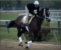  ?? WILL NEWTON - THE ASSOCIATED PRESS ?? Bourbon War exercises in preparatio­n for the Preakness Stakes horse race, Thursday, May 16, 2019, at Pimlico Race Course in Baltimore. The race is scheduled to take place Saturday, May 18.