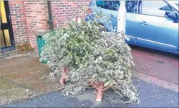  ??  ?? Chewing gum stuck on a shoe; chewing gum bin; Christmas trees dumped outside the back of the Kentish Express office