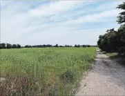  ?? CHRIS SETO METROLAND ?? This open field at 5081 Wellington Rd. 32 is the site of a proposed float glass plant that promises to bring hundreds of new manufactur­ing jobs to the Guelph area.