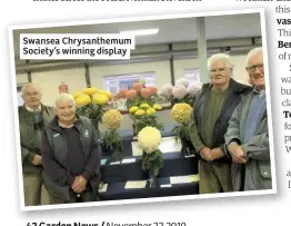  ??  ?? Swansea Chrysanthe­mum Society’s winning display