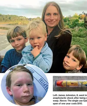  ??  ?? Victoria Johnston and her three sons. Left: James Johnston, 8, went into anaphylact­ic shock after being stung by a wasp. Above: The single use Epipen with a life span of one year costs $110.