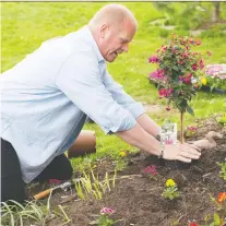  ?? ALEX SCHULDTZ/THE HOLMES GROUP ?? When landscapin­g, Mike Holmes suggests starting with the big jobs like walkways and decks before proceeding to the finer detail work of planting flowers and shrubs.