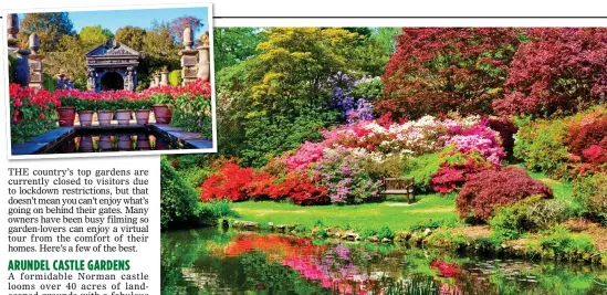  ??  ?? REFLECTED GLORY: Springtime at Exbury Gardens, above, and, top left, stunning tulips at Arundel Castle