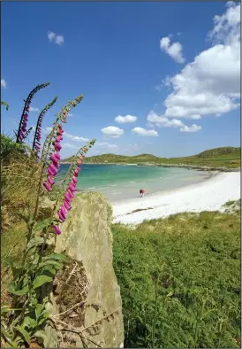  ??  ?? Idyllic: But the isle of Gigha community buyout is reportedly in debt