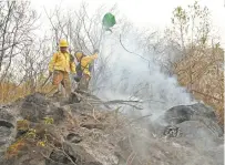  ??  ?? En el combate a los incendios forestales, la Conafor ha desplegado a un equipo de trabajo de 4 mil 437 personas.