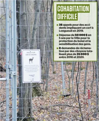  ?? PHOTO CÉDÉRICK CARON ?? Des espaces du parc ont été clôturés pour que les cerfs ne puissent aller y manger.