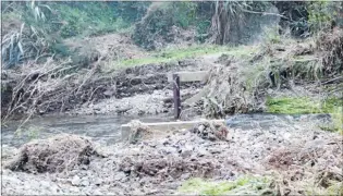  ??  ?? The flooded Korokoro Stream wiped out this cycle/pedestrian bridge.