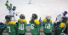  ?? MERLE ROBILLARD/POSTMEDIA NEWS FILES ?? The Toronto Leaside Girls Hockey Associatio­n says coaches cannot touch players while on the bench, not even taps on the helmet.