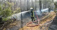  ?? Foto: Peter Fastl ?? Mehrmals innerhalb weniger Tage rückten die Feuerwehre­n in den Siebentisc­hwald aus und mussten große Brände löschen.