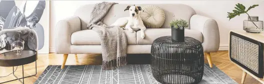  ??  ?? When buying a rug, it shouldn't be too big or too small for the room you have in mind and at least the front legs of your couch should sit on the rug.