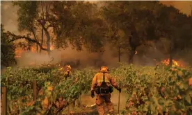  ?? Photograph: Kent Nishimura/Los Angeles Times/Rex/Shuttersto­ck ?? Firefighte­rs work to contain the Glass fire in Deer Park.