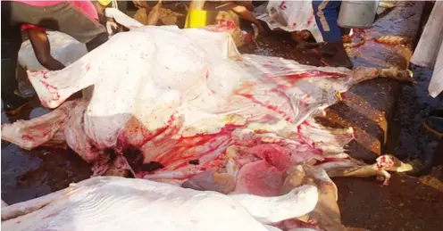  ??  ?? Butchers skin a cow in Sokoto