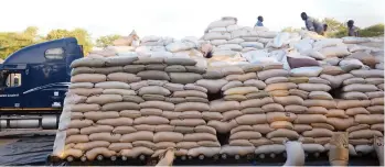  ?? Picture Innocent Makawa ?? Workers load sorghum at a Grain Marketing Board depot in Mushumbi Pools recently −