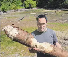  ?? FOTO: TOBIAS SCHUHWERK ?? ... inzwischen ist er eine Schlammwüs­te.