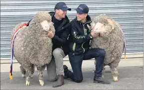  ??  ?? CHAMPIONS: Glenpaen stud principal Rod Miller and son Harry celebrate success at the Australian Sheep and Wool Show in Bendigo in 2019. This year’s show season has been cancelled due to the COVID-19 pandemic and sheep breeders are adjusting to challenges.