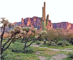  ??  ?? Lost Dutchman State Park lies at the base of the Superstiti­on Mountains.