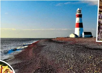  ?? ?? CHEERY: Burnham-onCrouch, top and above. Left: The lighthouse at Orford. Inset: A dish at Brancaster’s White Horse