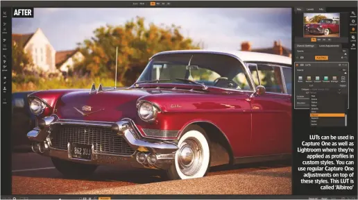  ??  ?? LUTs can be used in Capture One as well as Lightroom where they’re applied as profiles in custom styles. You can use regular Capture One adjustment­s on top of these styles. This LUT is called ‘Albireo’