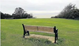  ??  ?? The site in Clevedon – a petition said planting trees would spoil the sea view