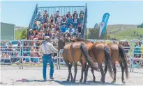  ?? Photo / Supplied ?? Some of the best educators in the equine business give demonstrat­ions throughout Equifest.