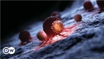  ??  ?? : Will white blood cells win the battle against cancer with the help of a mRNA vaccine?