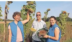  ?? FOTO: VOSS ?? Die drei Langenfeld­er Nabu-Mitglieder Heike und Michael Hungenberg sowie Yvonne Pieck (v.l.) ernten Sonnenblum­ensamen in den Blühstreif­en.