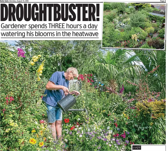  ??  ?? Flower shower: Geoff Stonebanks waters his plants. Opening his garden to visitors has raised more than £110,000 for charity